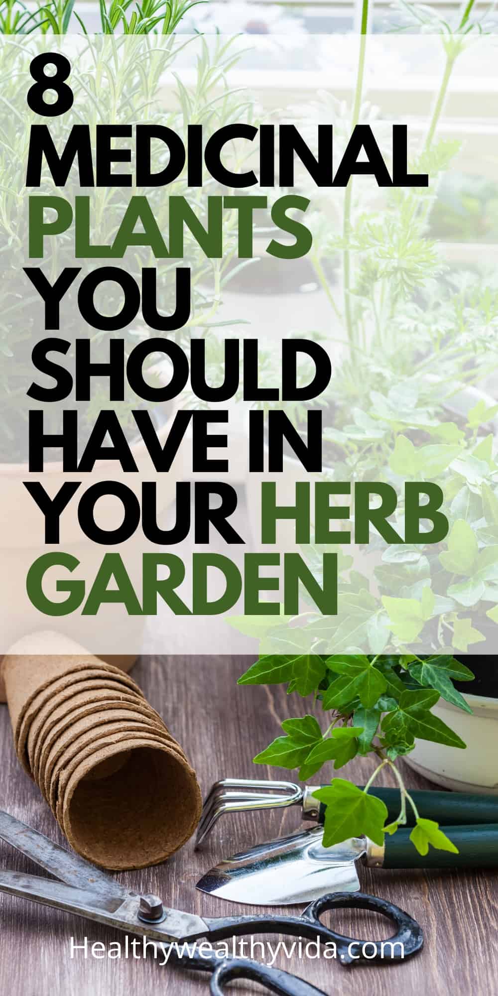 Medicinal Plants For Herb Garden