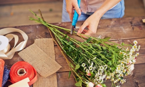 Cutting Flowers 