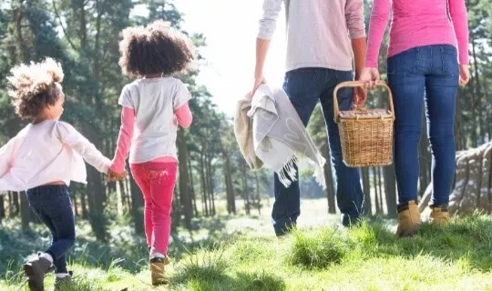 family picnic