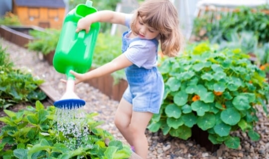 child gardening in summer