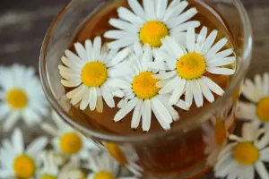 Chamomile Tea For Diaper Rash