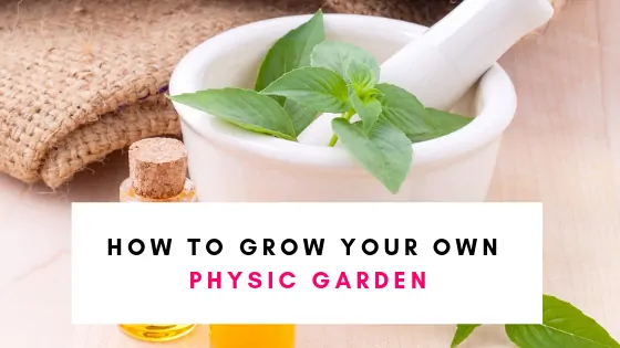 How to grown your own physic garden for medicinal purposes