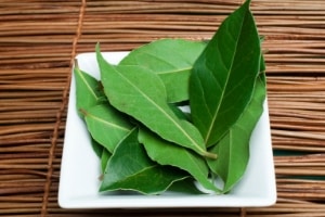 Bay Leaf Weevil Repellent 