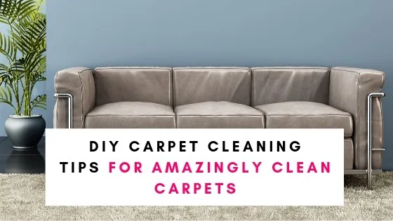 DIY Carpet Cleaning Tips