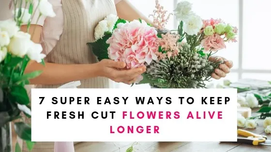 Keeping Flowers Alive