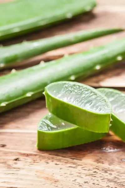 Cut Aloe Vera