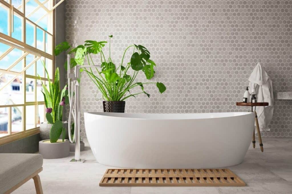 The Best Bathroom Plants That Absorb Moisture and Look Amazing