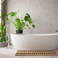 moisture absorbing plants for bathroom
