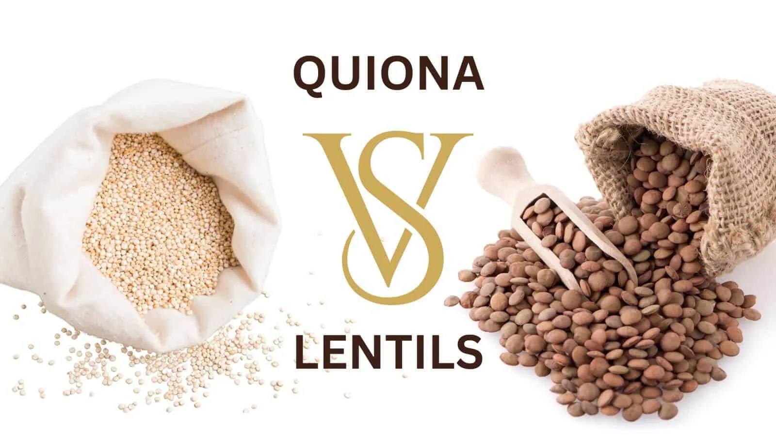 quinoa vs lentils