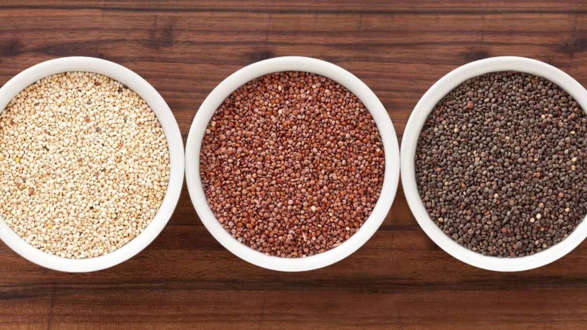 Quinoa Vs Lentils Which Should You Eat For Optimal Health?