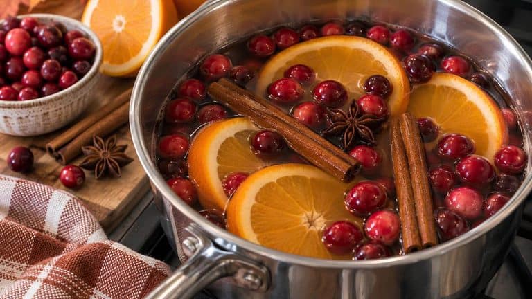 Fall Simmer Pot Recipes: The Coziest Way to Make Your House Smell Amazing